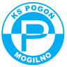 Pogon Moglino