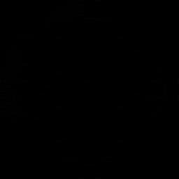 Manchester Laces (W)