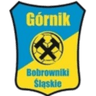 Gornik Bobrowniki Slanskie