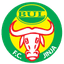 BUL FC