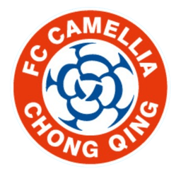 Chongqing Dikai Chongqing Dikai