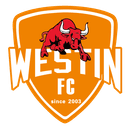 فوشان الرياضية للسيدات