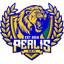 Perlis GSA FC