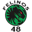 Felinos 48 AC