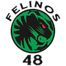 Felinos 48 AC