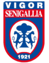 فيغور سينيجاليا