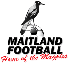 مايتلاند إف سي للسيدات