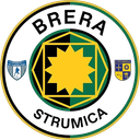 أكاديمي بانديف