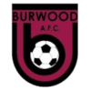 Burwood AFC