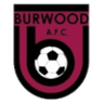 Burwood AFC