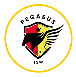 هونغ كونغ بيغاسوس