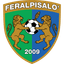FeralpiSalo U19