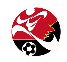 Tim Sepak Bola Desa Gaodong