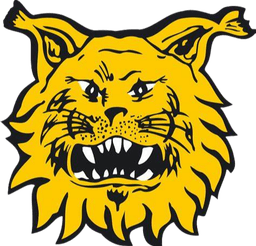 إف سي إلفيس الثاني أو20