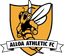 Alloa Athletic