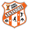 CS Sanandrei Timis
