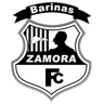 Real Zamora