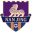 Nanjing Team
