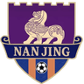 Nanjing Team