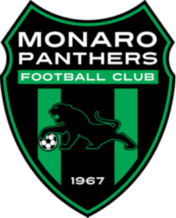 Monaro Panthers