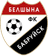 FC Belshina Babruisk