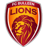 Bulleen Lions (W)