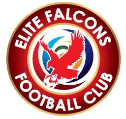 Elite Falcons FC