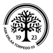 ASK Erlaa Torpedo 03 ASK Erlaa Torpedo 03