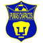 Pumas Chapacos