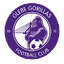 Glebe Gorillas FC