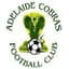 Adelaide Cobras