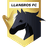Llaneros FC