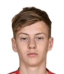 دينو هاليلوفيتش