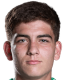 لاسلو فينجلر