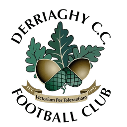 Derriaghy FC Derriaghy FC