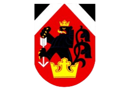 TJ Postrelmov TJ Postrelmov