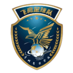 Guizhou Feiying Guizhou Feiying