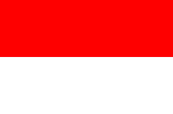 Indonesia U19 Indonesia U19